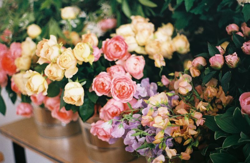 Roses and sweetpeas