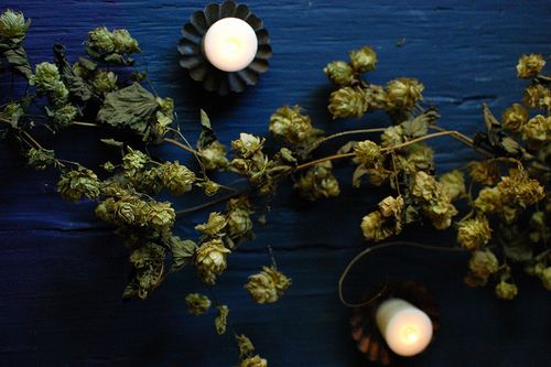 Hops centerpiece