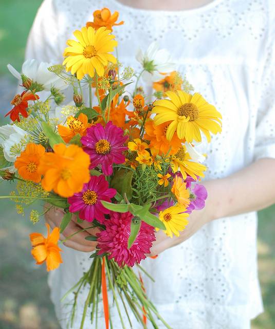 Cutting garden bouquet zinnia