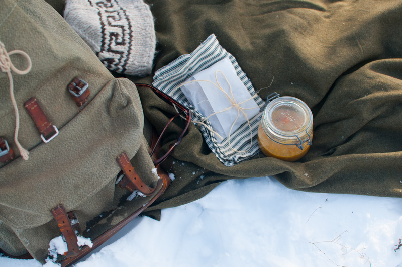 Snow-picnic-christmas