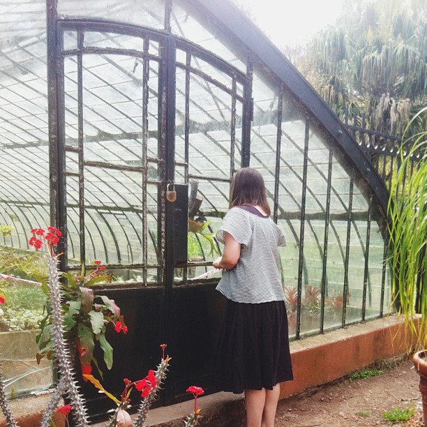 Buenos aires greenhouse botanical garden