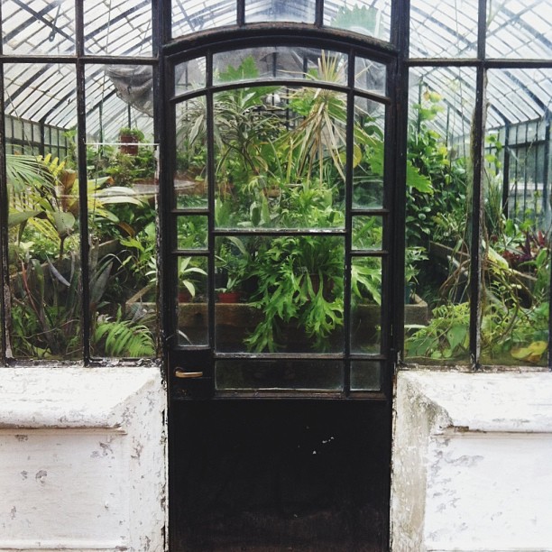 Greenhouse door buenos aires