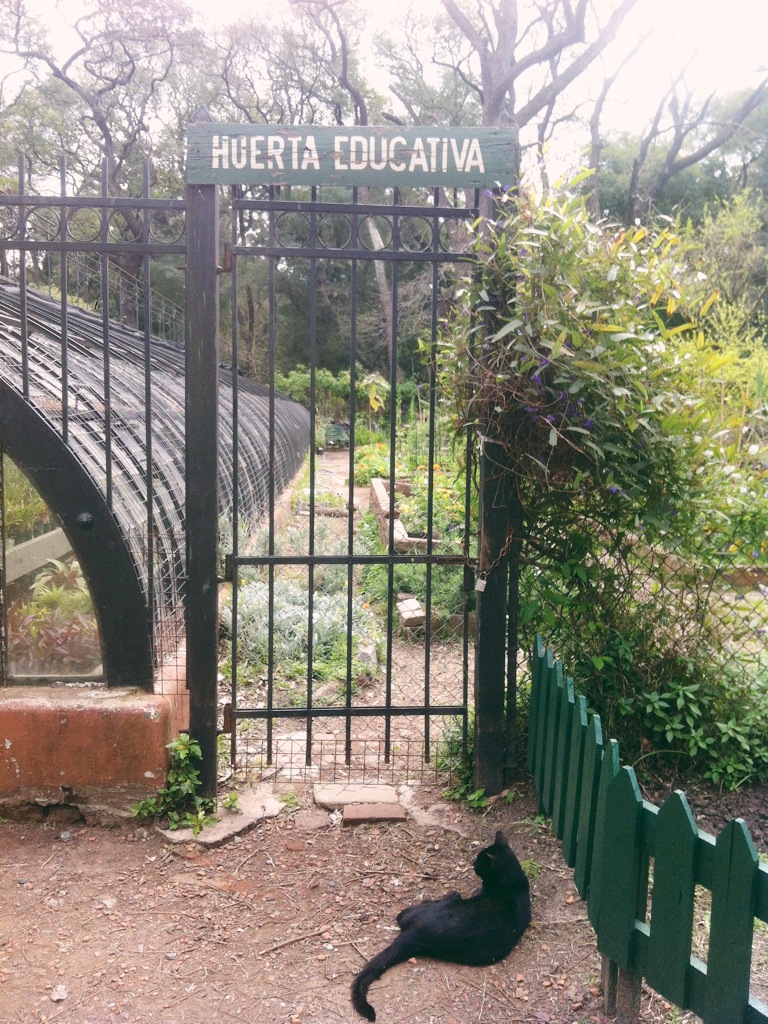 Cata bueno aires botanical garden