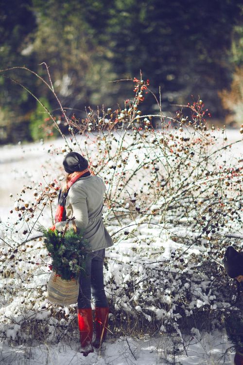 The foraged wreath class