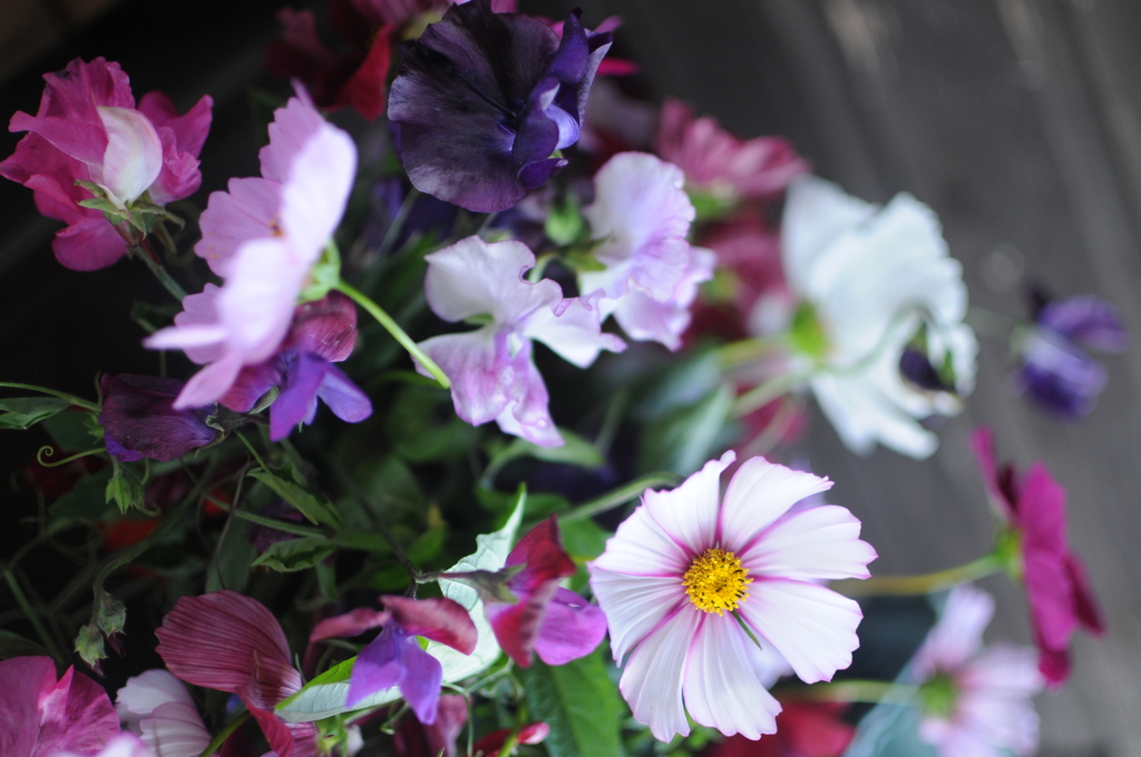 How to a Floral Designer frolic!