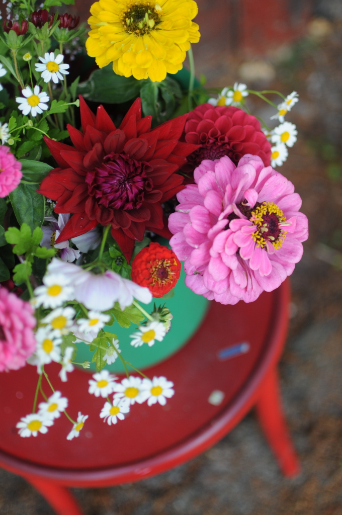 10 Ways to Make Your Cut Flowers Last Longer frolic!