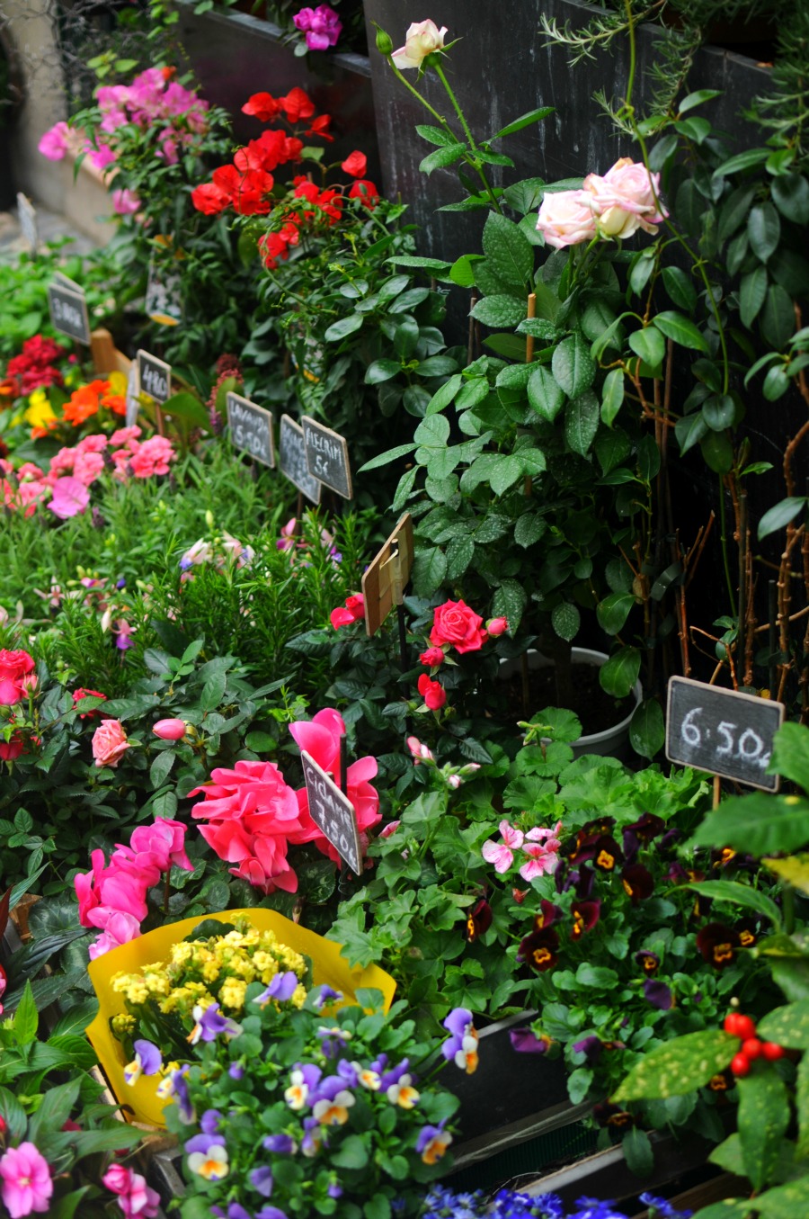 flower shop lisbon