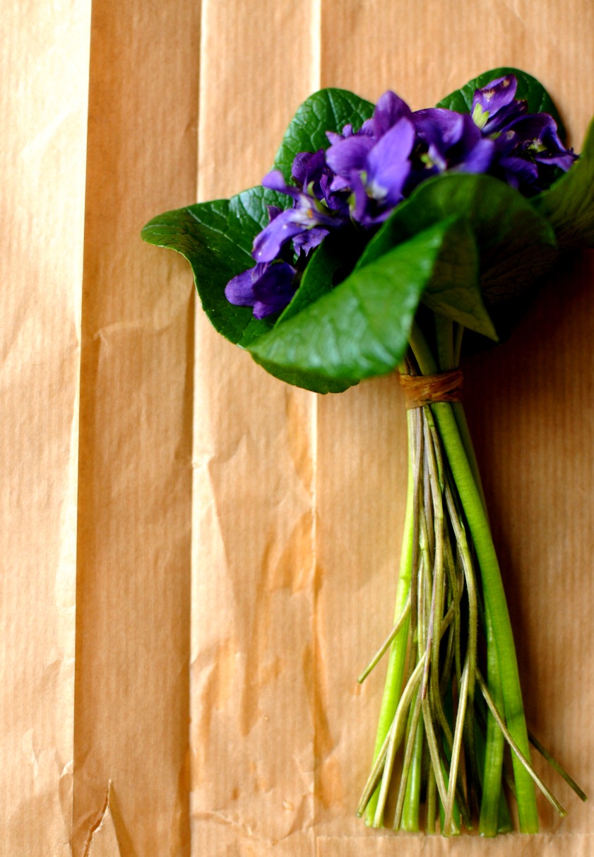 fresh cut violets