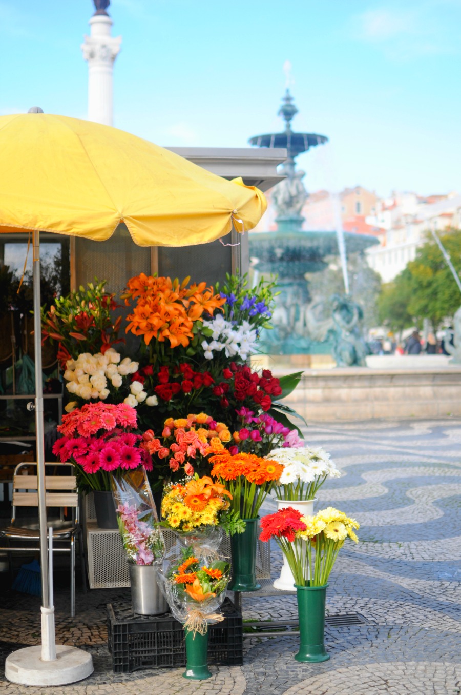 rossio square flowers 