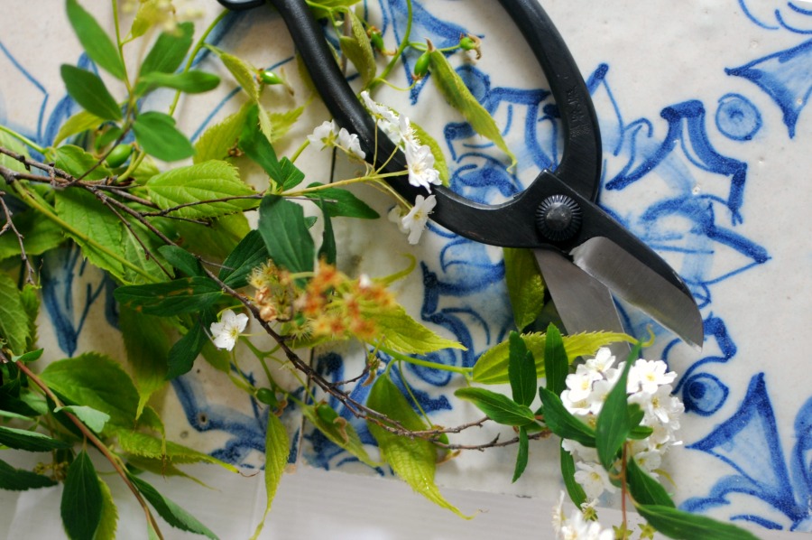 How to prepare flowers • woody stems • Photo Backdrops UK from Capture by  Lucy