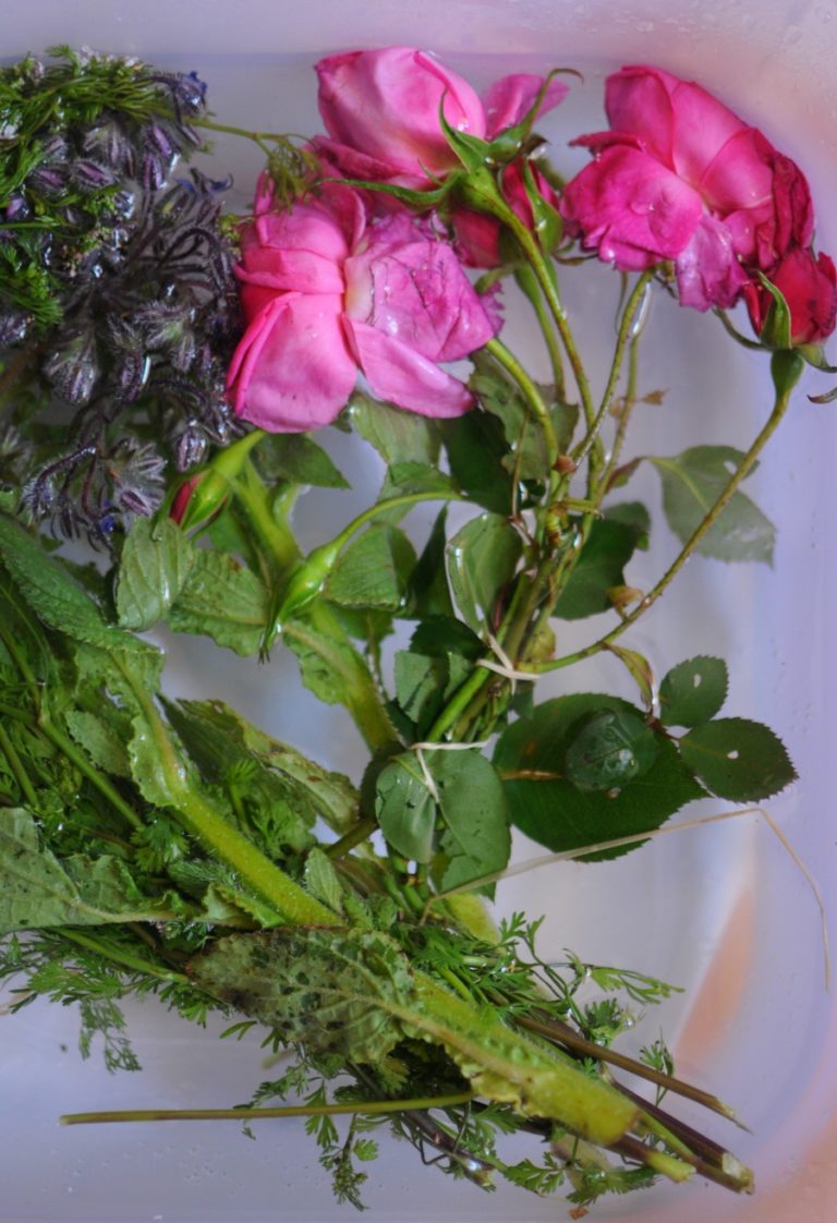 How to Bring Wilted Flowers Back to Life frolic!