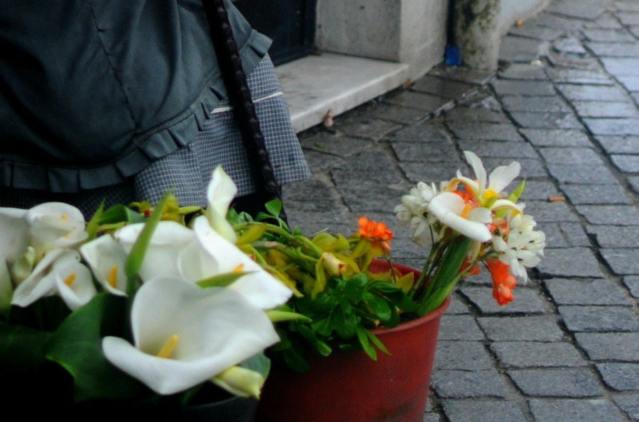 flower seller