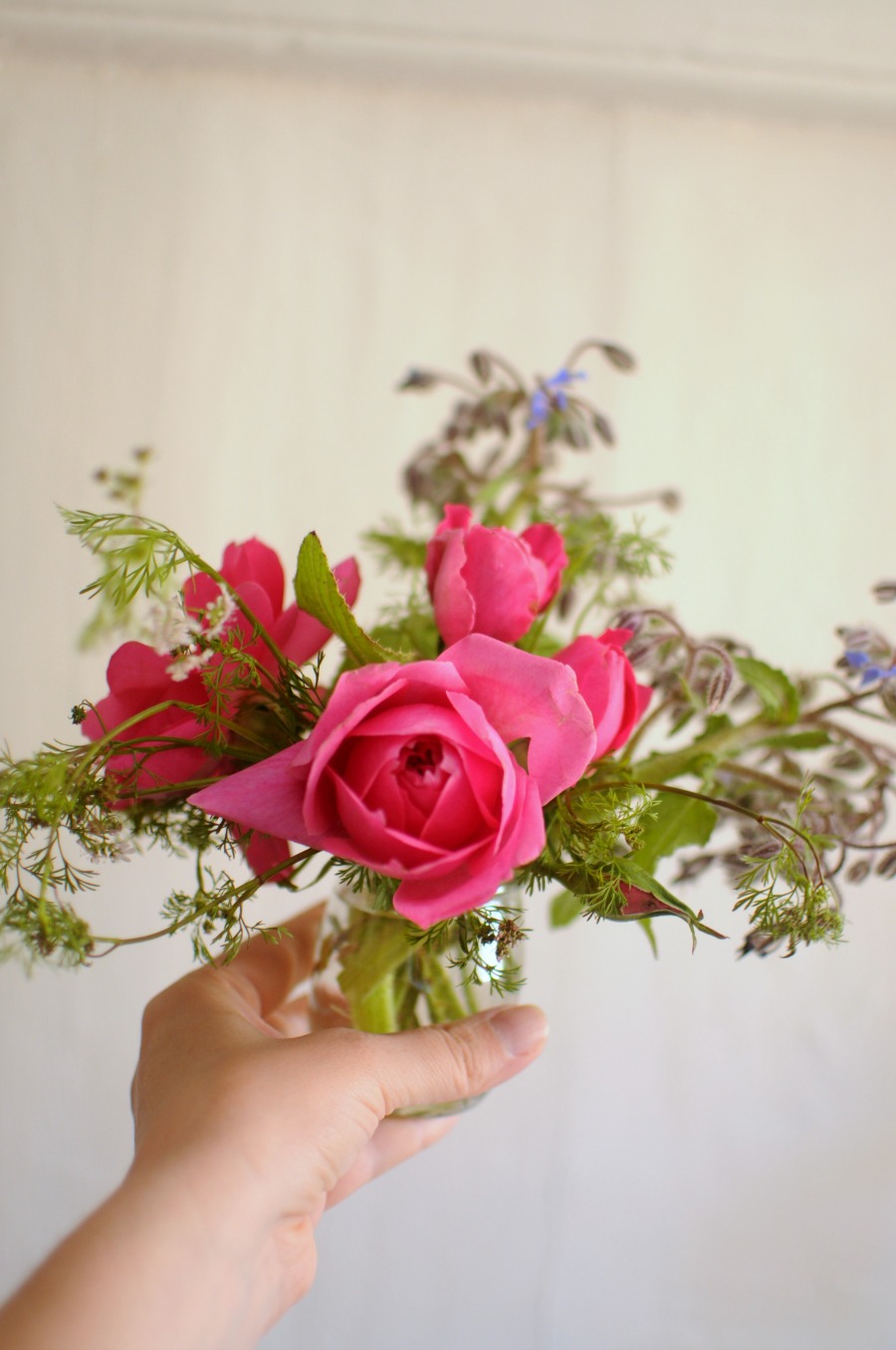 pink flowers