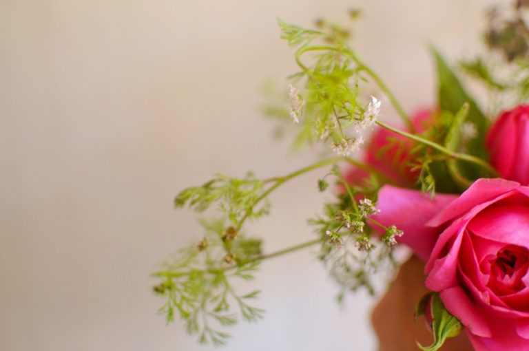How to Bring Wilted Flowers Back to Life frolic!