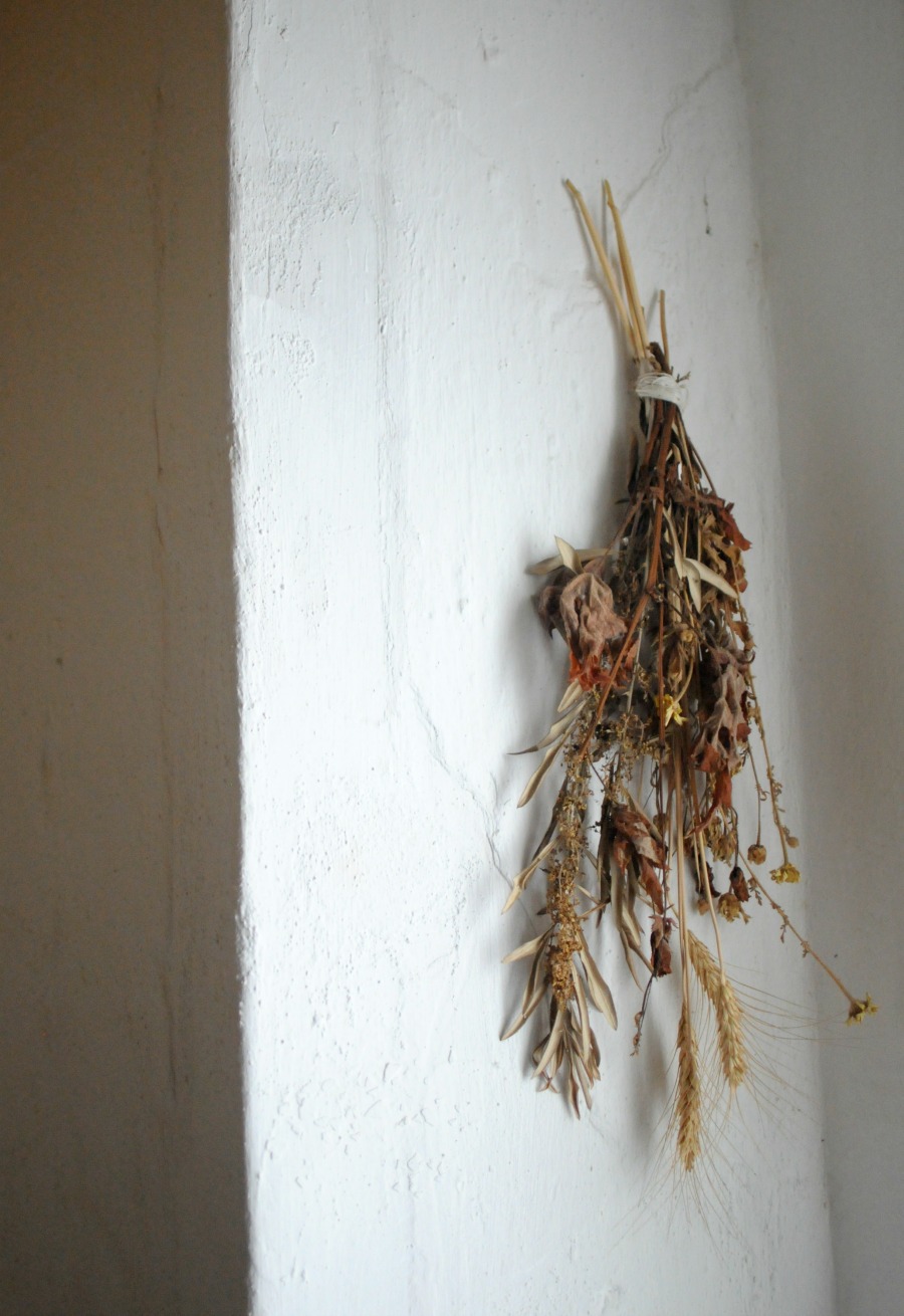 dried herbs