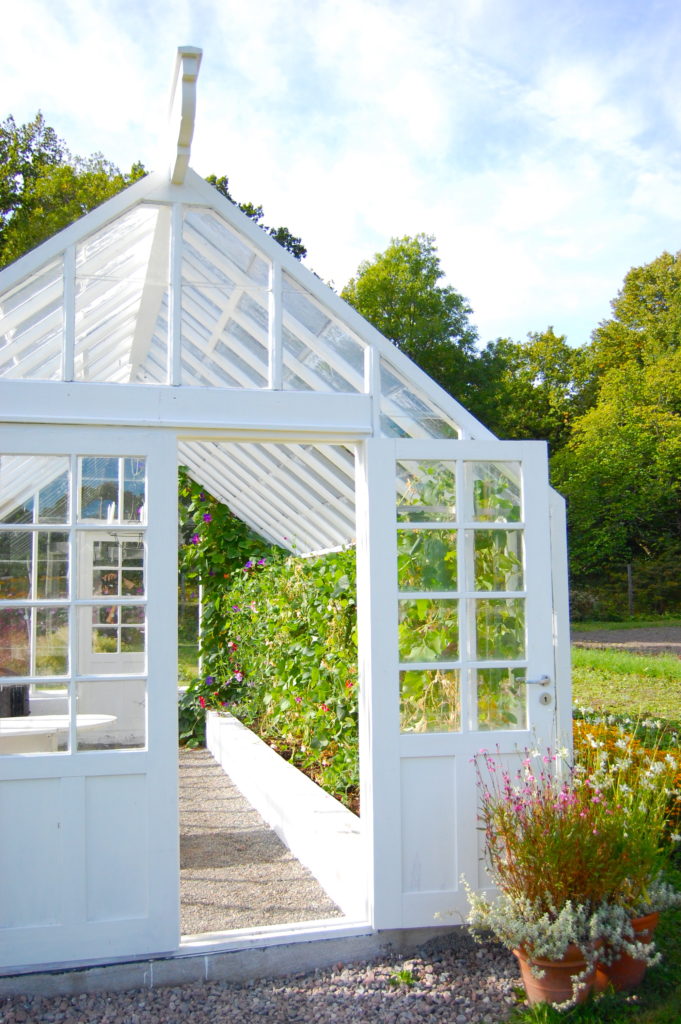 Conservatories Around The World Frolic conservatories-around-the-world-frolic