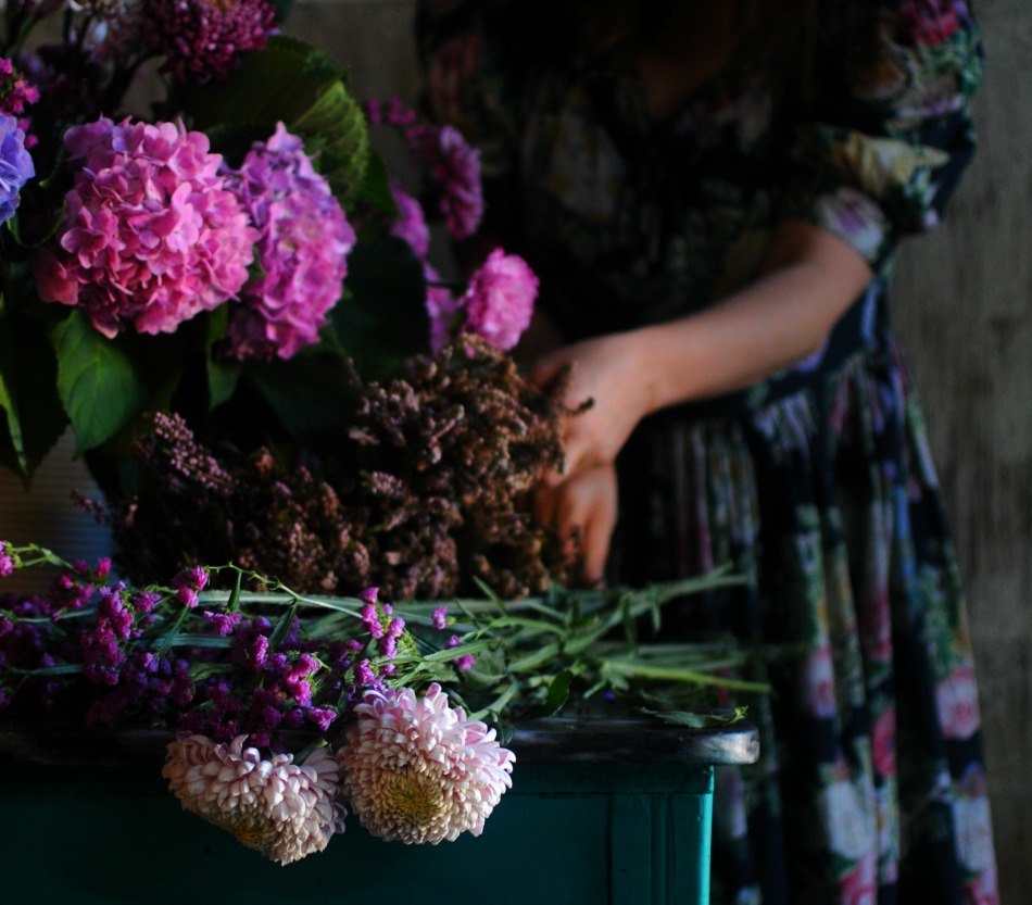 purple fall flowers