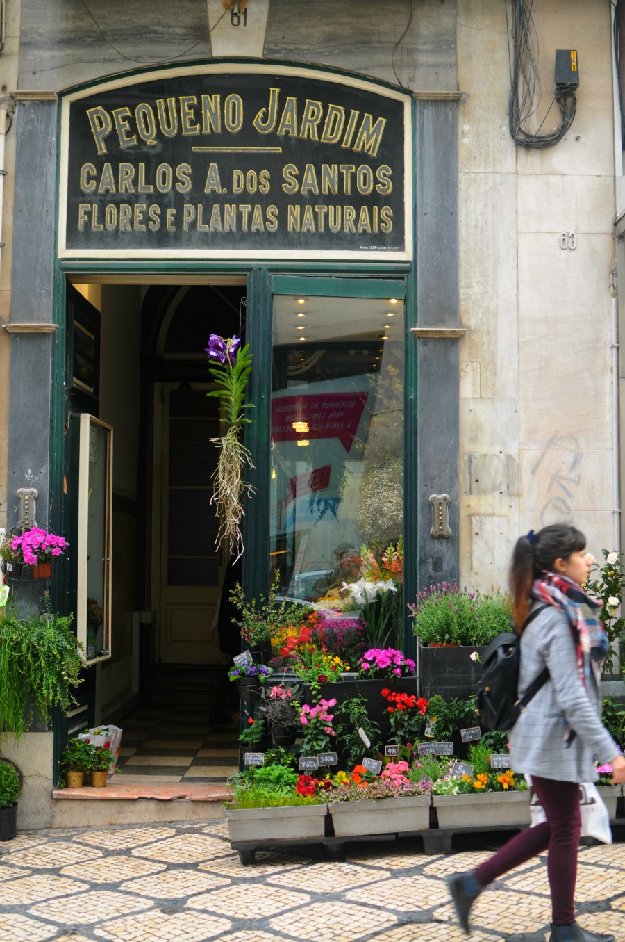 lisbon flower shop